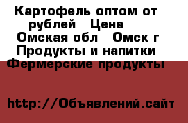 Картофель оптом от 8 рублей › Цена ­ 8 - Омская обл., Омск г. Продукты и напитки » Фермерские продукты   